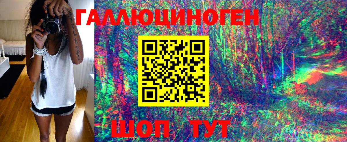 Галлюциногенные грибы Psilocybe  Вход с VPN  Северобайкальск 